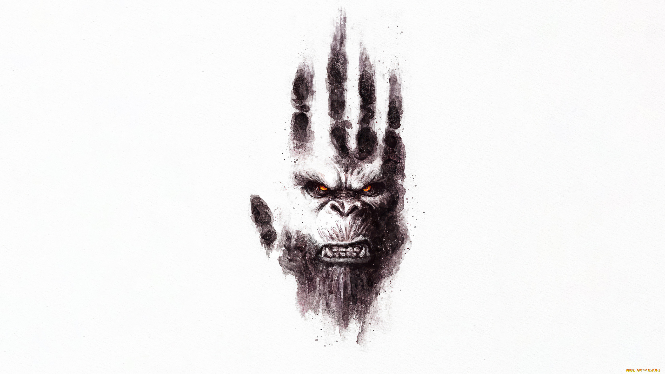 godzilla x kong,  the new empire ,  2024 , , ,  , godzilla, x, kong, the, new, empire, , , , , , 